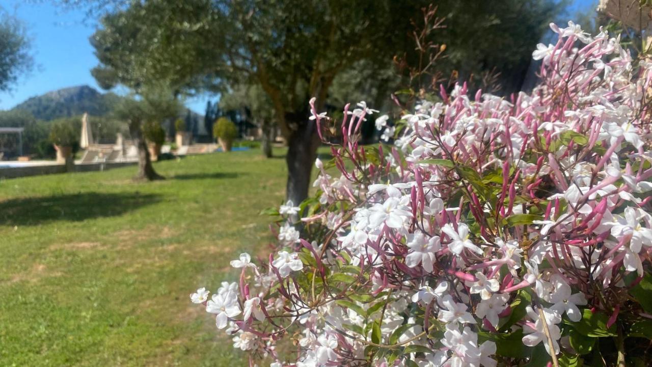 Agroturisme Son Cardaix Artá Kültér fotó